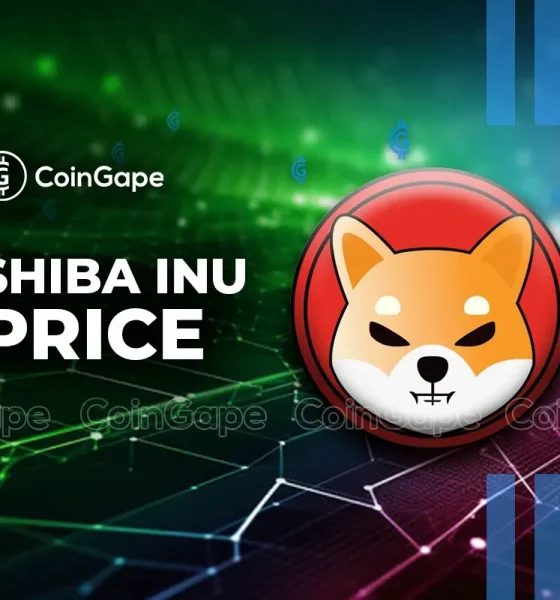 Shiba Inu Coin SHIB price