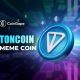 TON Meme Coins