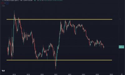 Altcoin Rally Won’t Happen Before February 2025, Predicts Popular Analyst