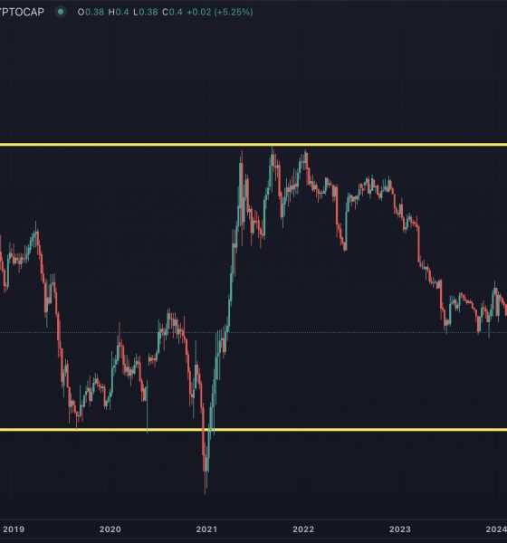 Altcoin Rally Won’t Happen Before February 2025, Predicts Popular Analyst