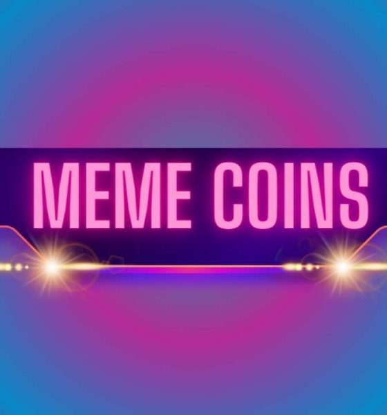 Are Meme Coins the Most Profitable Cryptocurrency Niche so far in 2024?