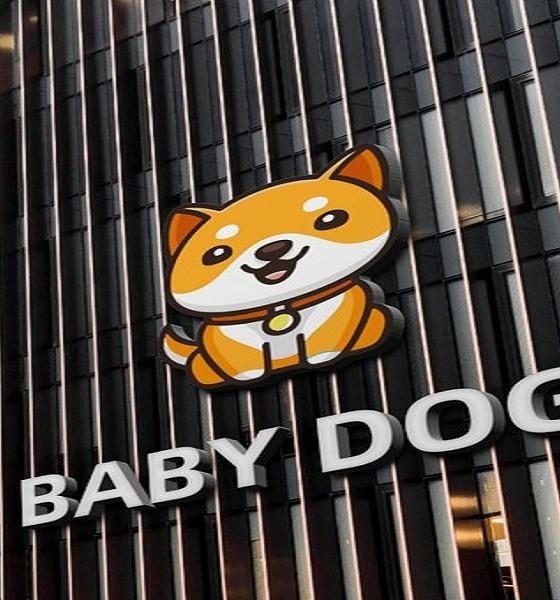 Baby Doge Token Contract Proposal On Ethereum & BNB Chain Passes, Here’s All