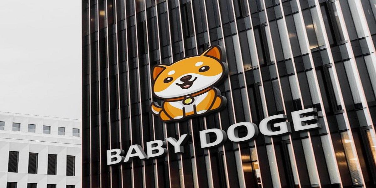 Baby Doge Token Contract Proposal On Ethereum & BNB Chain Passes, Here’s All