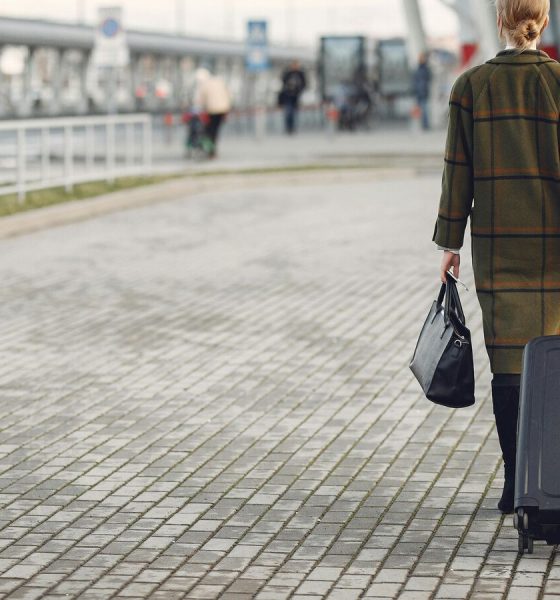 Best trolley bags: Top 9 options for effortless travel, stylish design, and durability to meet all your adventure needs