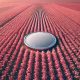 Crypto Analyst Says Large-Cap Layer-1 Altcoin Primed for a Breakout, Maps Path Forward for Bitcoin and Lido DAO