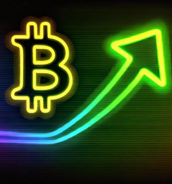 Crypto Markets Bounce After Rough Monday