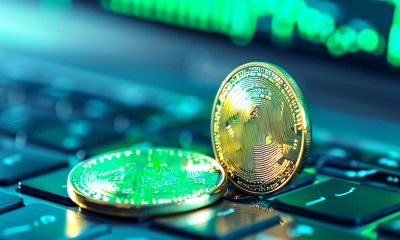 Crypto Sector Losses to Hacks and Fraud Are Down 20% Year-on-Year, According to Bug Bounty Platform Immunefi