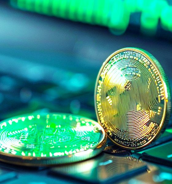 Crypto Sector Losses to Hacks and Fraud Are Down 20% Year-on-Year, According to Bug Bounty Platform Immunefi