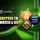 Cryptos to Watch in the Second Half of 2024