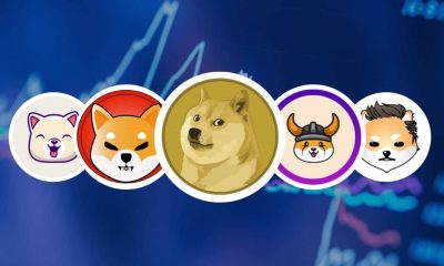 Dog-themed Meme Coins V Solana Tokens: Bulls Eye Huge Gains