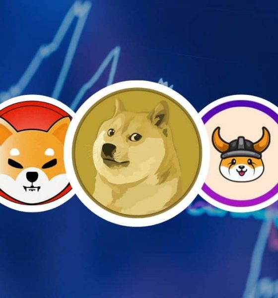 Dog-themed Meme Coins V Solana Tokens: Bulls Eye Huge Gains