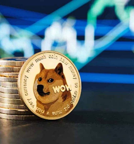 Dogecoin (DOGE) Moves Behind Meme Coins: What to Expect?