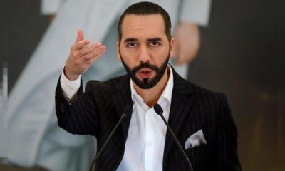 President Nayib Bukele takes a dig at Steve Hanke