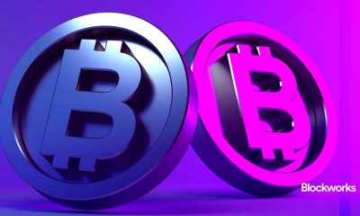 Empire Newsletter: Bitcoin surfs Elliot Waves to beat the heat