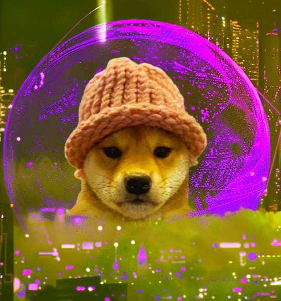 Largest dogwifhat (WIF) Holder Accumulates More Coins While Other Memecoin Whales Capitulate: Lookonchain