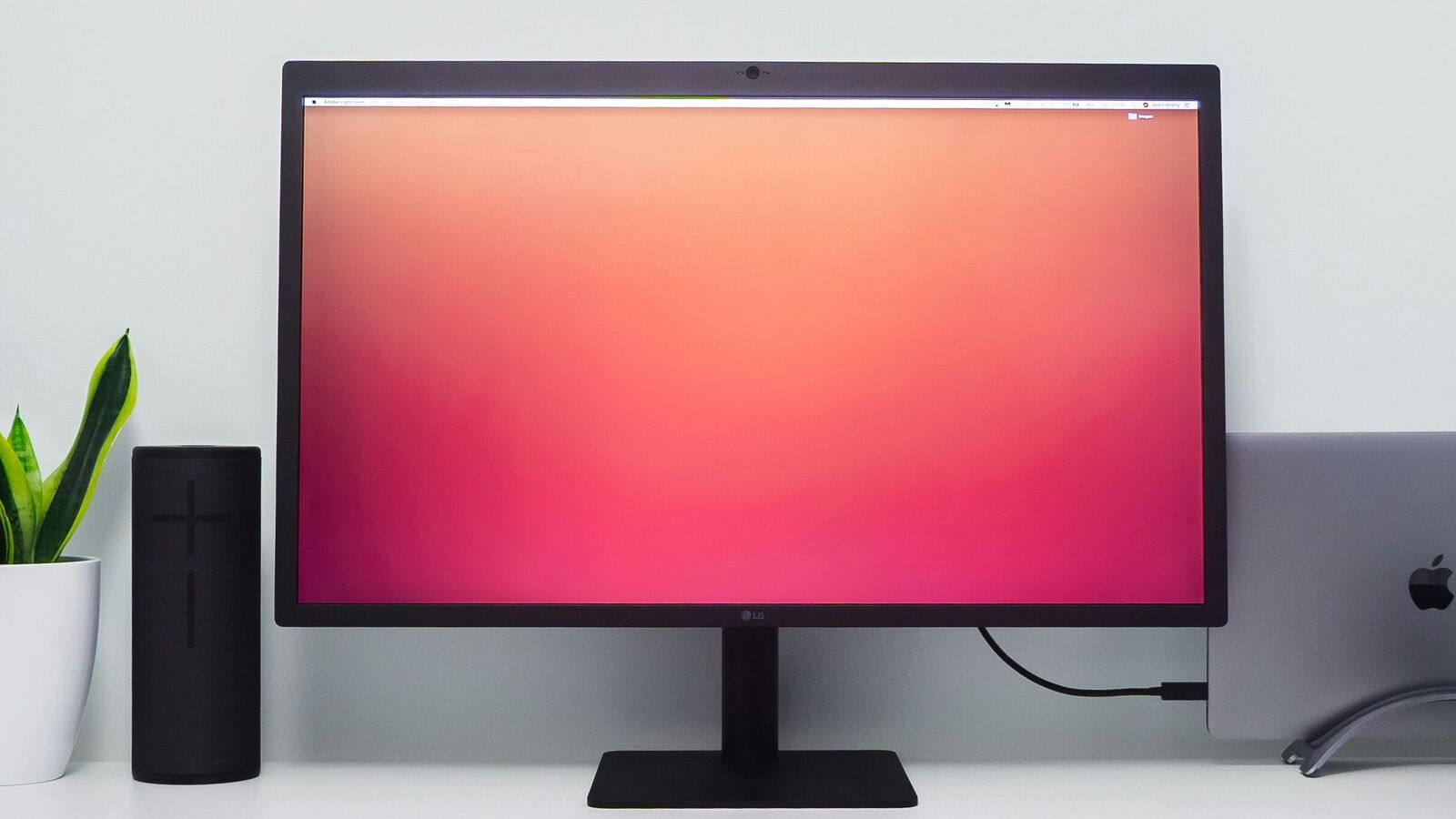 Monitor buying guide: Check out our top tips for choosing the perfect screen in India