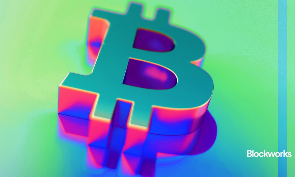 On the Margin Newsletter: How low BTC's price might go after Monday’s dip