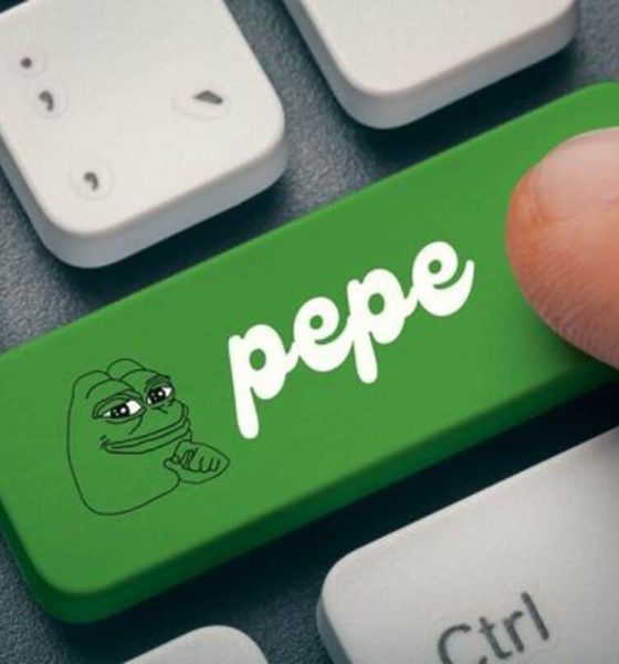 Pepe Coin Whale Dumps 1 Tln Coins To Binance, Price Risks Further Dip?