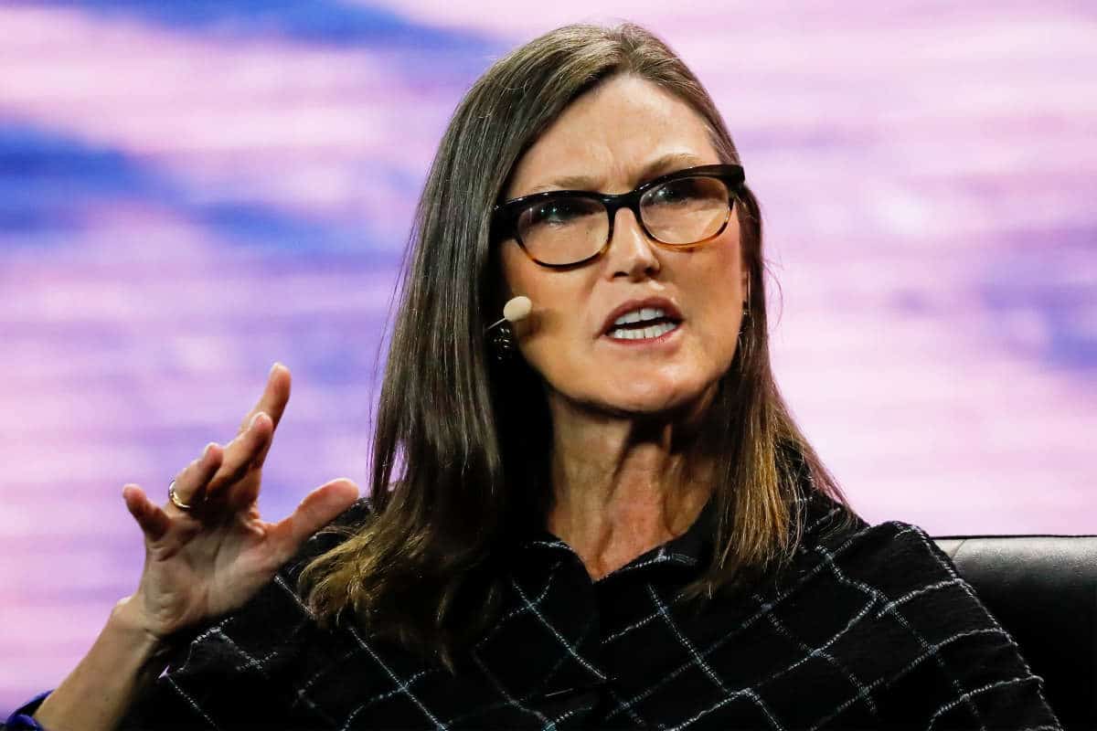 Promising Cathie Wood Stocks To Watch Out For