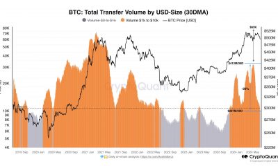 Bitcoin Transfer Volume