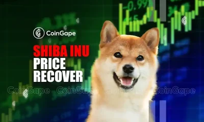 Shiba Inu Price