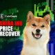 Shiba Inu Price