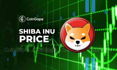 Shiba Inu Price Rise: Can SHIB Lead the Crypto Recovery?