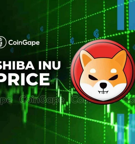 Shiba Inu Price Rise: Can SHIB Lead the Crypto Recovery?