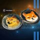Shiba Inu and Dogecoin Prices To See Sharp Rally in June?