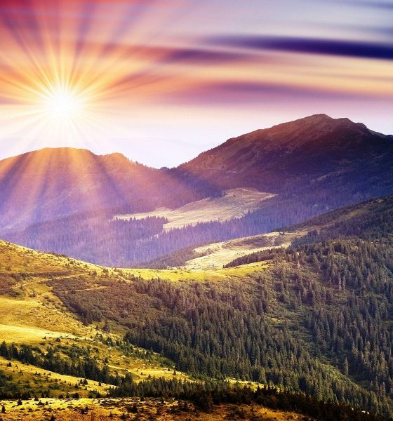 Solana Poised For Epic Reversal? Analyst Spots Bullish Pattern