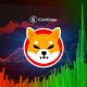 This SHIB Millionaire Is Doubling Down on The Asset Following Price Surge