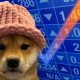 WIF Heading For Rock Bottom? $2.2 Rejection Fuels Further Decline