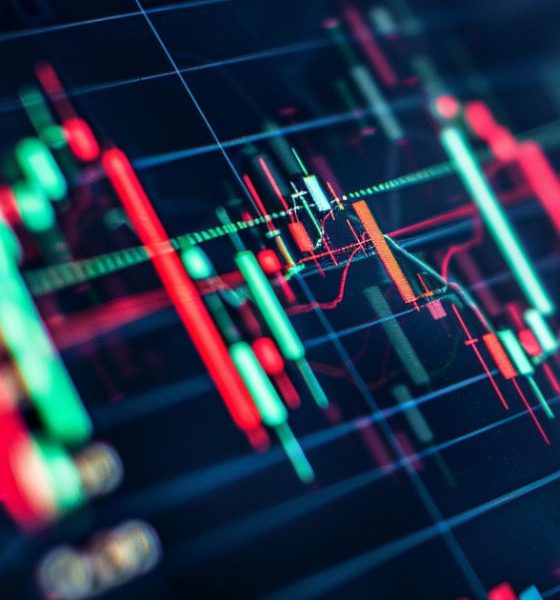 What Are the Crypto Whales Buying? How to Stay Ahead of The Curve with Margex Copy Trading