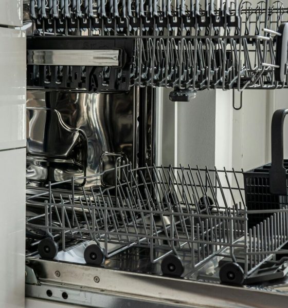 What is a dishwasher and is your typical Indian kitchen ready for one? A complete guide
