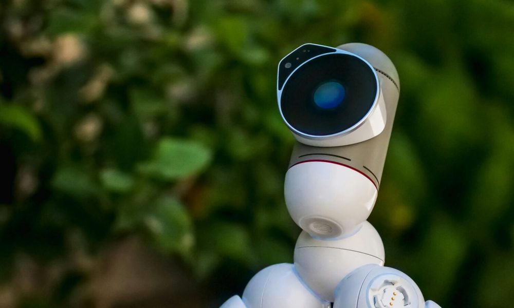 Why robots should take more inspiration from plants