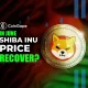 Will Shiba Inu Price Recover in June?