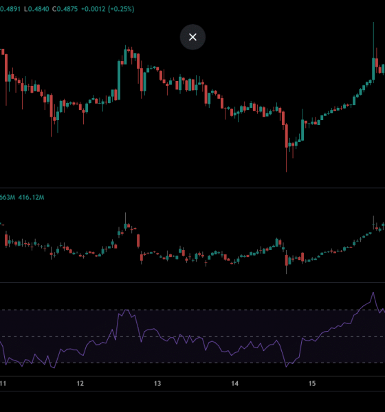 XRP Whale Dumps 31M Coins Amid Price Dip, What's Next?