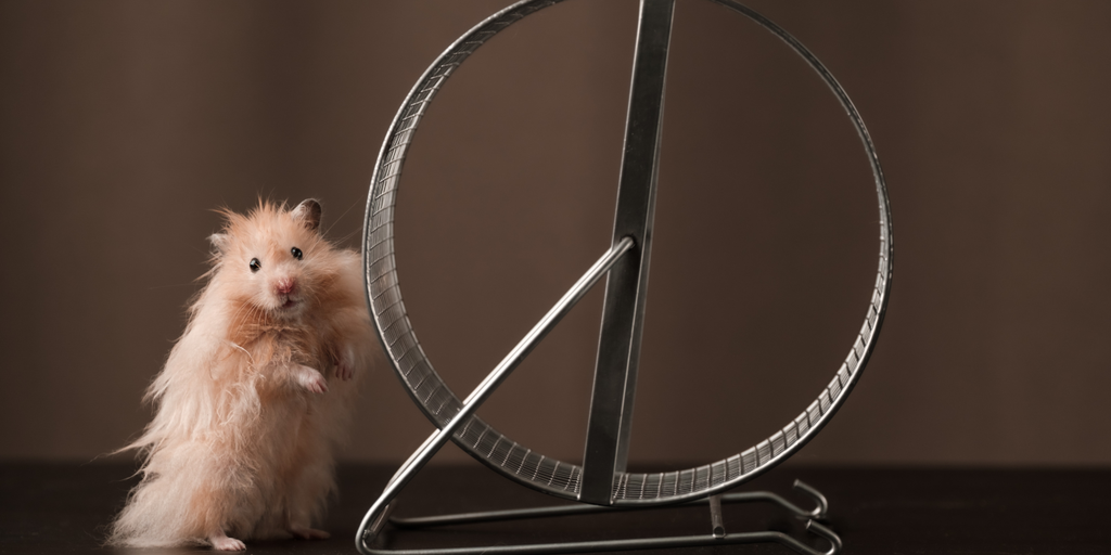 ‘Hamster Kombat’ Keeps Demanding More Friends—Enough Already