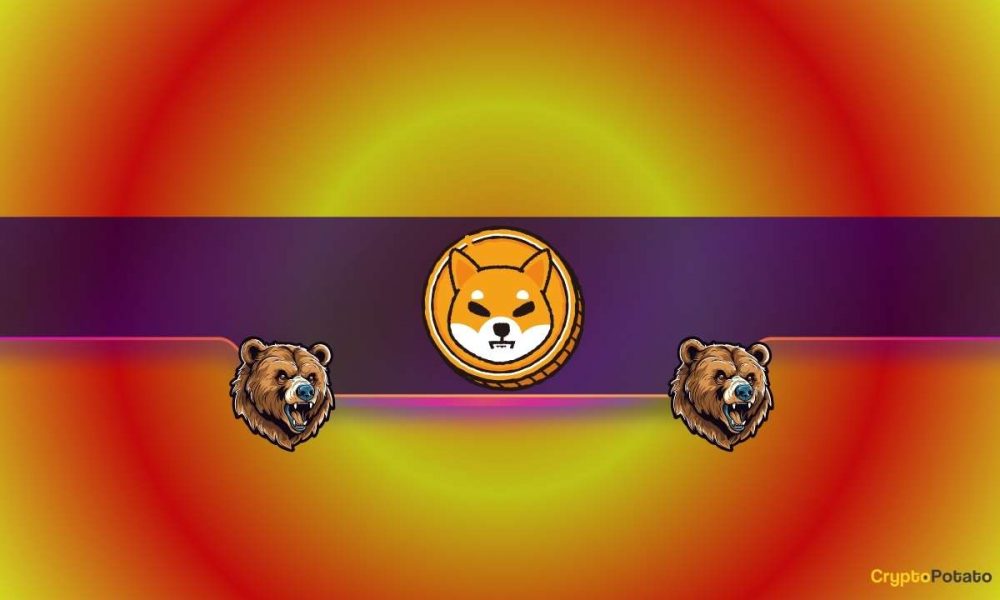 Bad News for Shiba Inu Bulls? Here's Why SHIB's Price Might Plunge Soon