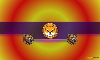 Bad News for Shiba Inu Bulls? Here's Why SHIB's Price Might Plunge Soon