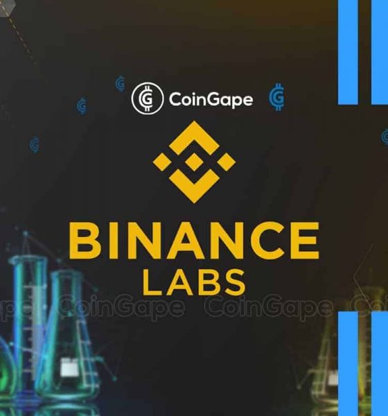 Binance Labs Unveils Major Investment In Cross-Chain Exchange, What's Happening?
