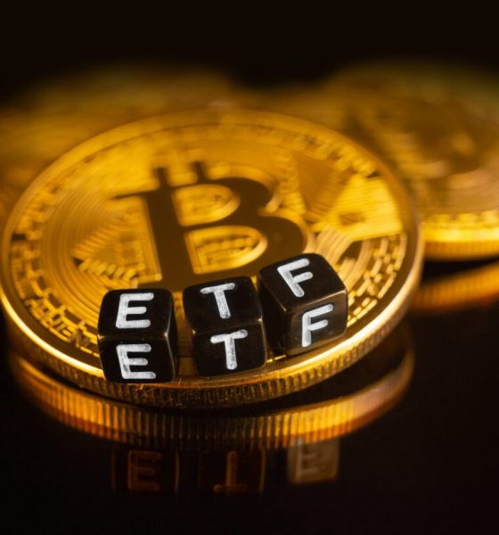 Bitcoin ETFs Inflow Points To Less Long-Term Volatility