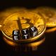 Bitcoin ETFs Inflow Points To Less Long-Term Volatility