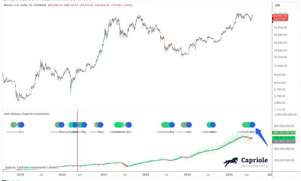 Bitcoin Hash Ribbon buy signal