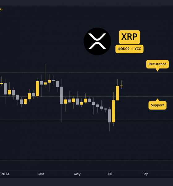 Can Bulls Defend $0.6 or is a Crash Coming?