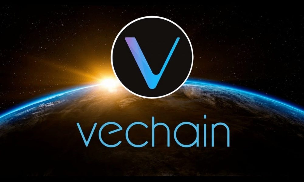 Can VeChain's VeBetterDAO End VET Price Crash?