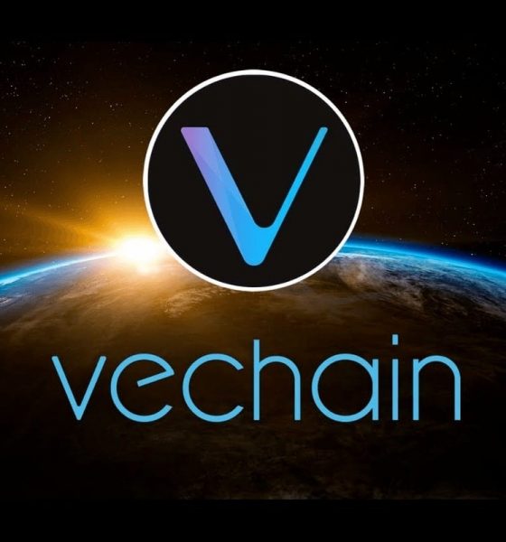 Can VeChain's VeBetterDAO End VET Price Crash?