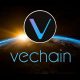 Can VeChain's VeBetterDAO End VET Price Crash?