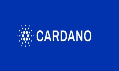 Cardano Price Sustains Upside, But With Risks Underlay