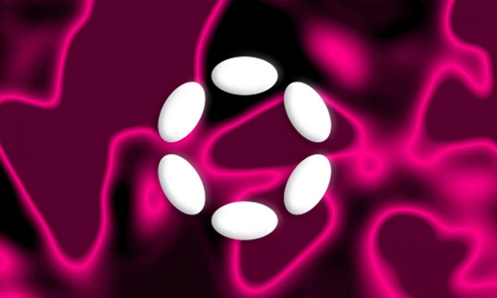 Polkadot team dismisses fears of empty treasury, touts self-sustaining model